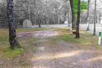 2024100410-_HP_2315-010