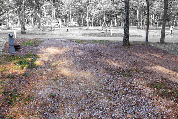 2024100411-_HP_2316-011
