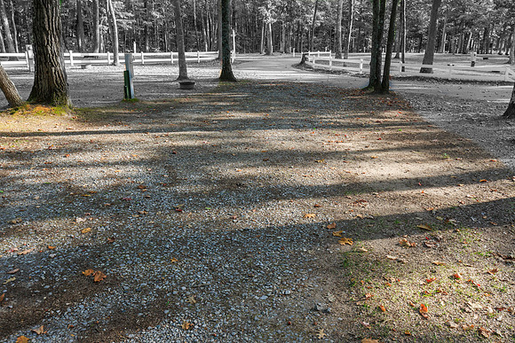 2024100425-_HP_2330-112