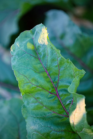 2016Jul14_1331