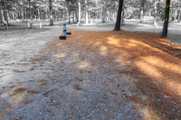 2024100413-_HP_2318-013