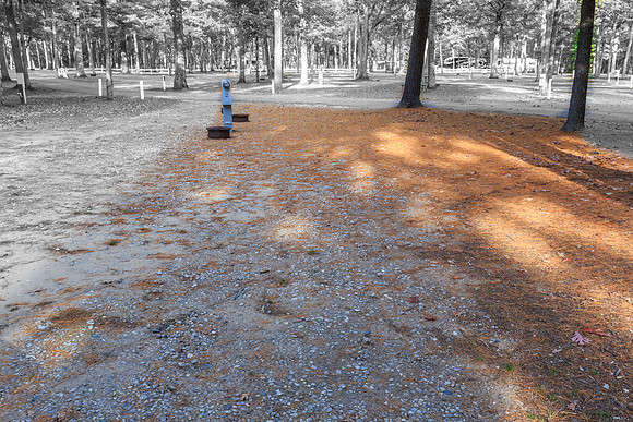 2024100413-_HP_2318-013