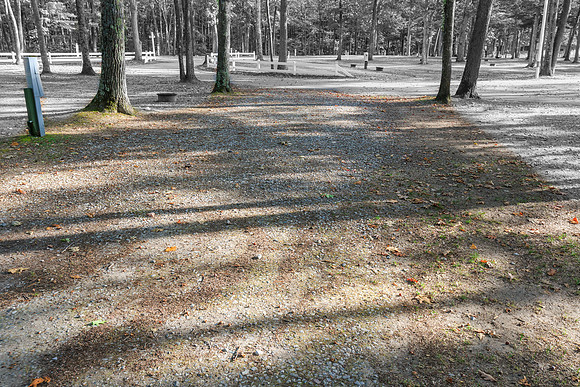 2024100424-_HP_2329-113