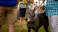 IMG_5613