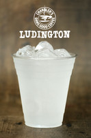 Ludington Fusion