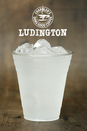 Ludington Fusion