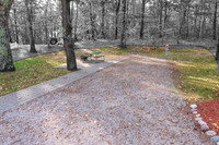 202410041-_HP_2306-Edit-001b
