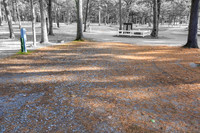 2024100421-_HP_2326-116