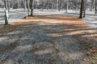 2024100423-_HP_2328-114